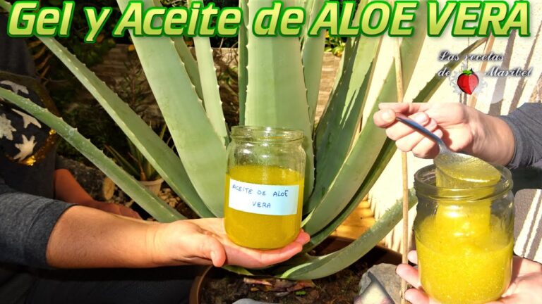 Descubre la increíble fusión de aceite de oliva y aloe vera para una piel radiante